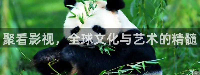 星空影院高清电视剧