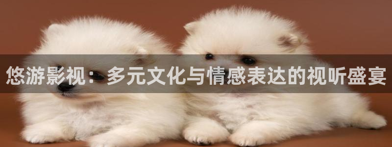 星空影业有限公司