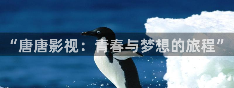 星空影院在线观看高清